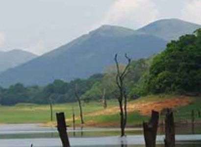 Romantic Kerala Honeymoon Package