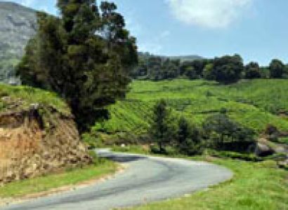 South India Honeymoon Package