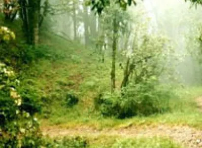 Hills of Kumaon Tour