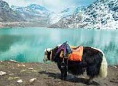 Darjeeling Gangtok Tour