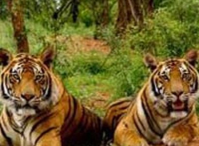 Corbett Nainital Tour