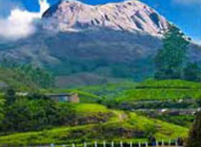 Kerala - Cochin - Munnar - Alleppey Honeymoon Holiday Tour