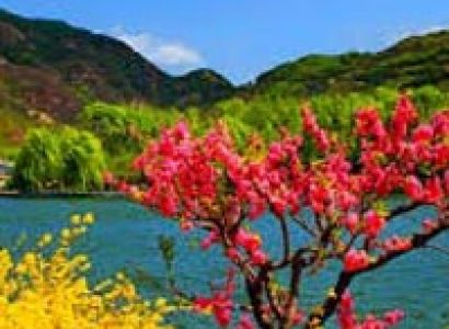 Glimps of Kashmir Tour