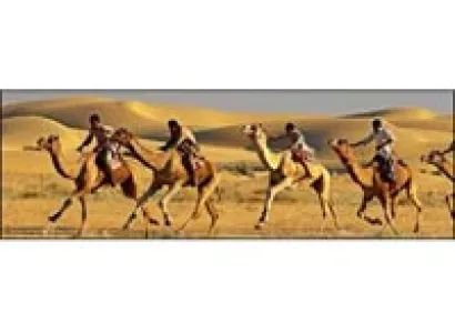 Camel Safari in Rajasthan Tour
