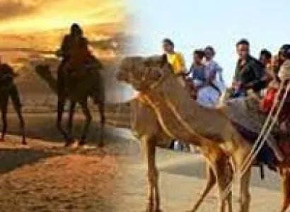Camel Safari in Rajasthan Tour