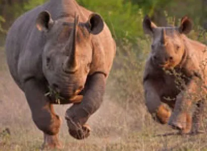 3 Day Johannesburg - Kruger National Park Tour