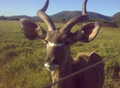 Johannesburg - Kruger Falls - Botswana Tour - 11 Days