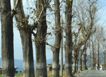 All in One Exotic Himachal Tour