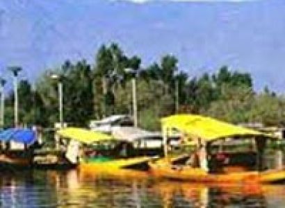 Srinagar (3) - Pahalgam (1) - Gulmarg Tour