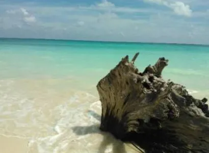 Rapturous Andaman Tour