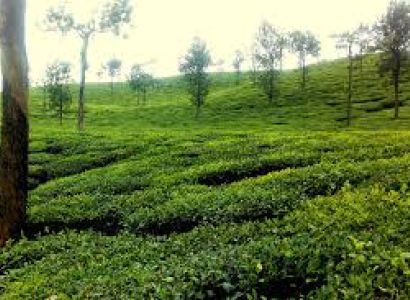 Simlipal Tour Packages 2night-3days