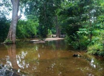 Satkosia Tiger Reserve Tour Packages from Kolkata-tikarpada