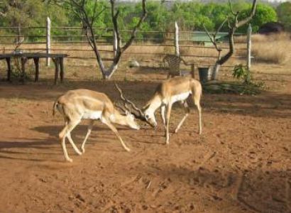 Amazing Ladakh Tour Packages from Kolkata (6Nights 7Days)