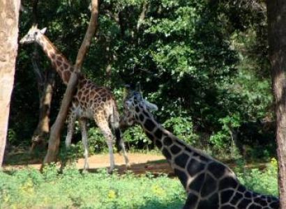 Ladakh 3 Night 4 Days Tour