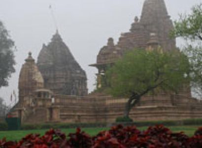 Wildlife Special with Khajuraho Tour