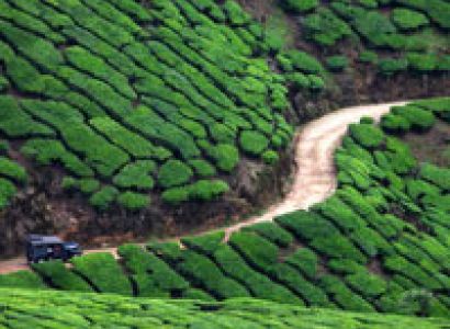 Kerala Tour With Khajuraho