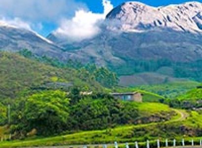 Munnar - Thekkady Tour