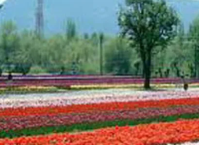 Jammu & Kashmir Holiday Tour Package