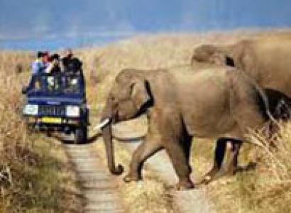 Delhi - Corbett Park Tour