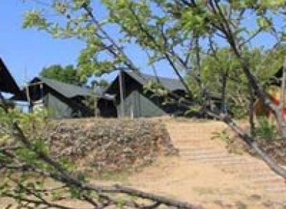 Camp At Kanatal Tour