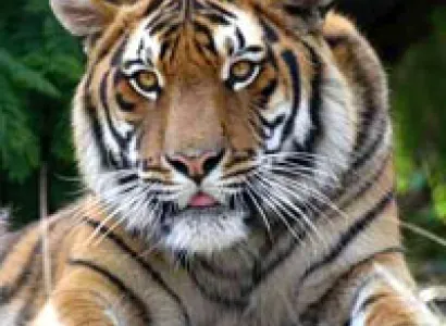 Best of Gujrat Package - 10 Nts./ 11 Days