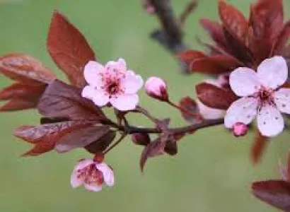 Uttrakhand Package for July Onwards