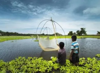 North East Special Tour