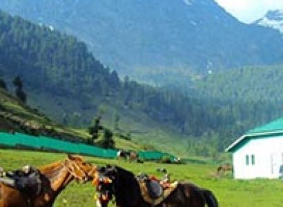 Beauty of Kashmir Tour