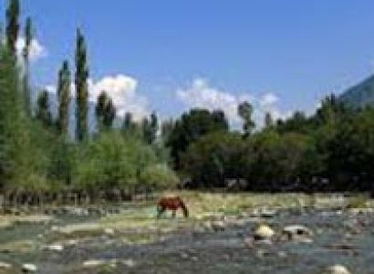 Magical Kashmir Package