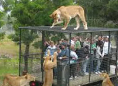 Rajasthan Wildlife Tour