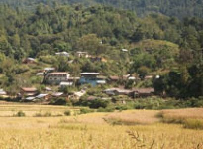 Hills Beauty Package