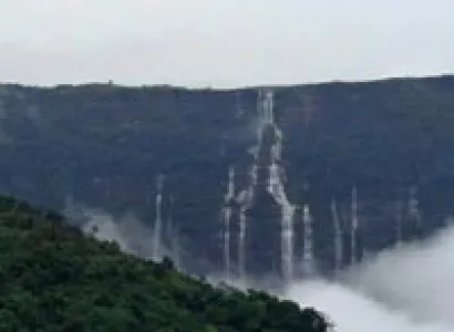 North East Special (Family)