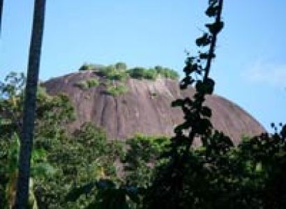 Central Suriname Nature reserve Tour