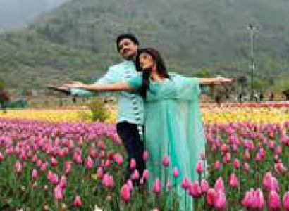 Manali Volvo Package