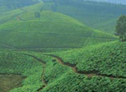 Enchanting Kerala Tour