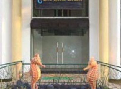 The Sea Horse Resort Goa with Flight Package