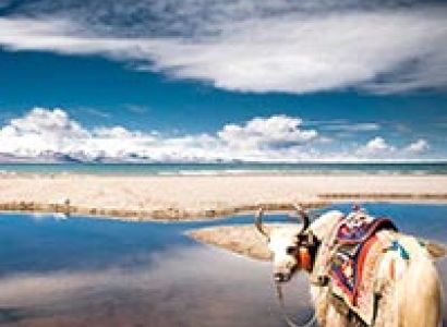 NamTso - YamdrokTso Tour