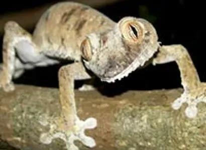 Down to the South of Madagascar