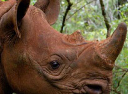 7 Days Kenya Air Safari Package