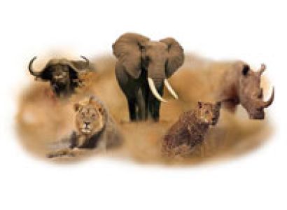 10 Days Tanzania wildlife safari - Zanzibar Beach Holiday Tour