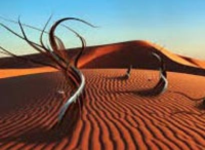 Rajashthan Tour Package