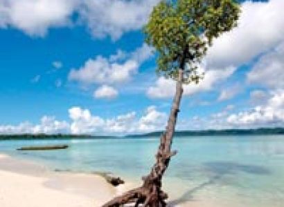 Honeymoon Tour Package