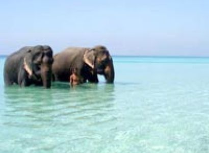 Port Blair Tour