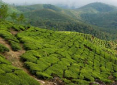 Kerala Delights Tour