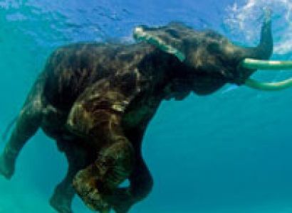 Andaman Holiday Tour