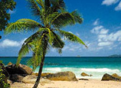 Open Beach Stay Trip
