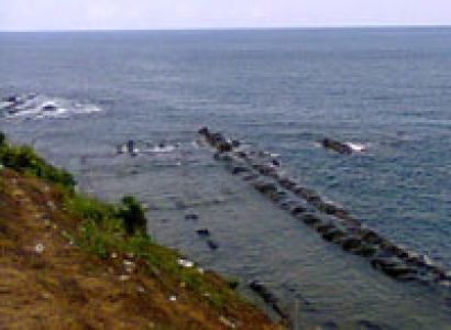 Island Exocitic Beach Tour