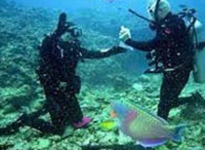 Andaman Tour