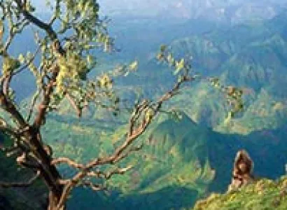 Hiking in the Simien Mountains- “Roof of Africa”