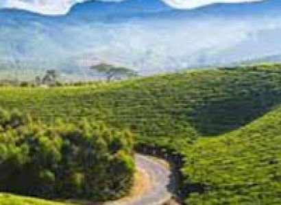 Ooty - Kodaikanal - Munnar Tour
